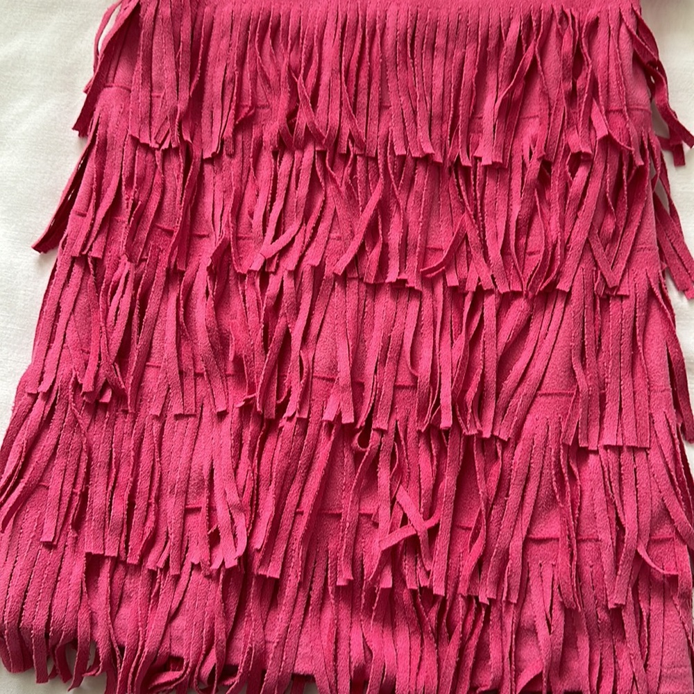 Cachcach Suede Fringe Dress - Picture 3 of 5